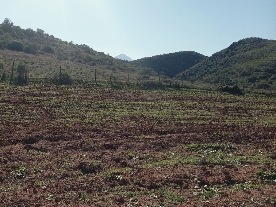 Commercial Property for Sale in George Rural Western Cape